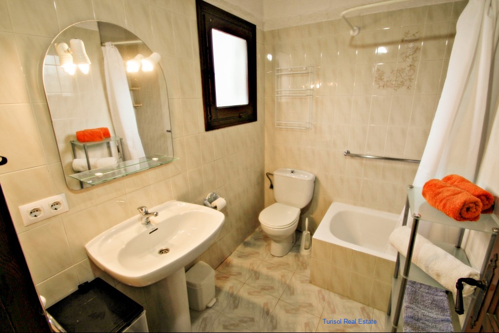 1160_delfin