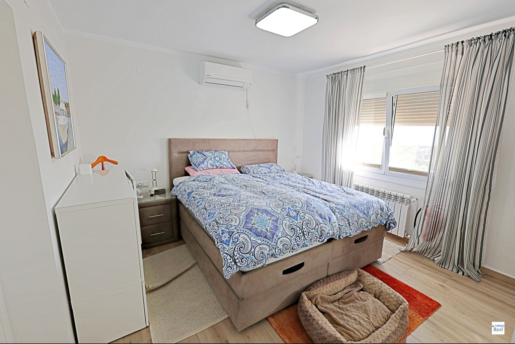 260_delfin