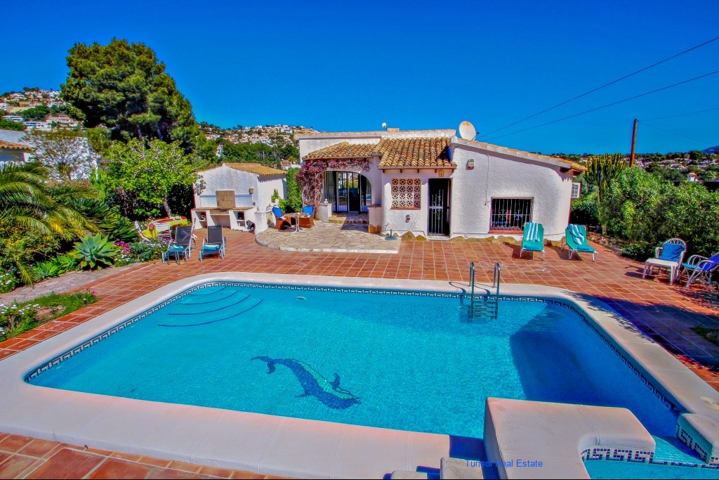 9500_delfin
