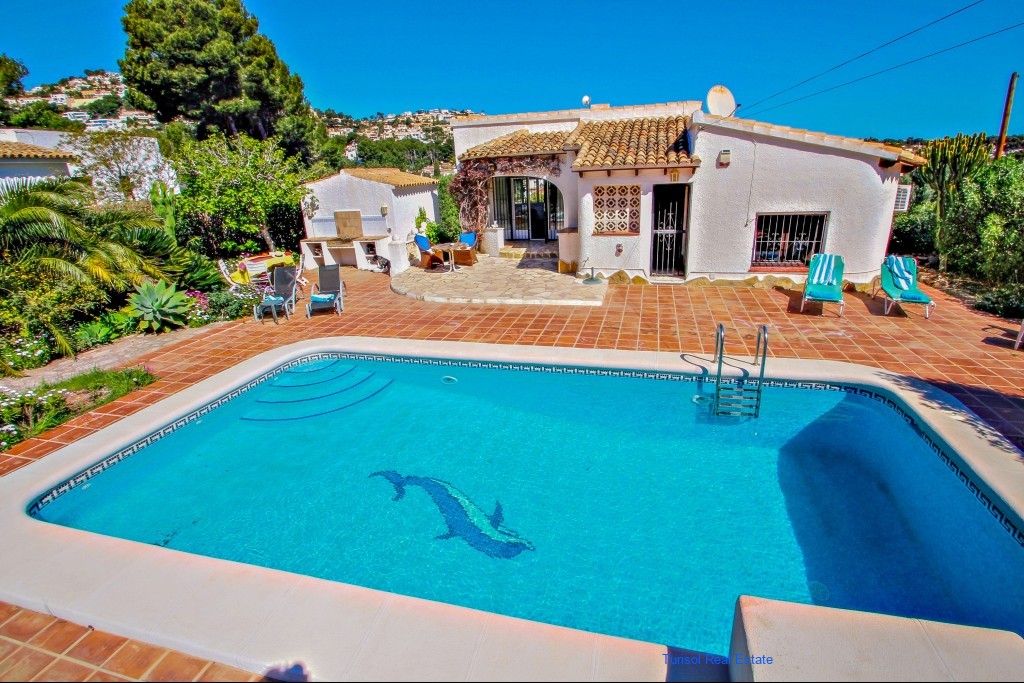 9800_delfin