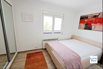 230_delfin
