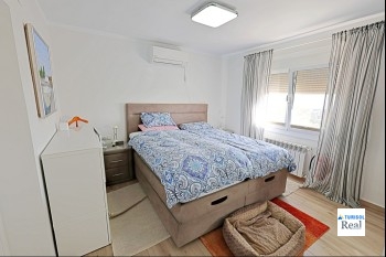 260_delfin
