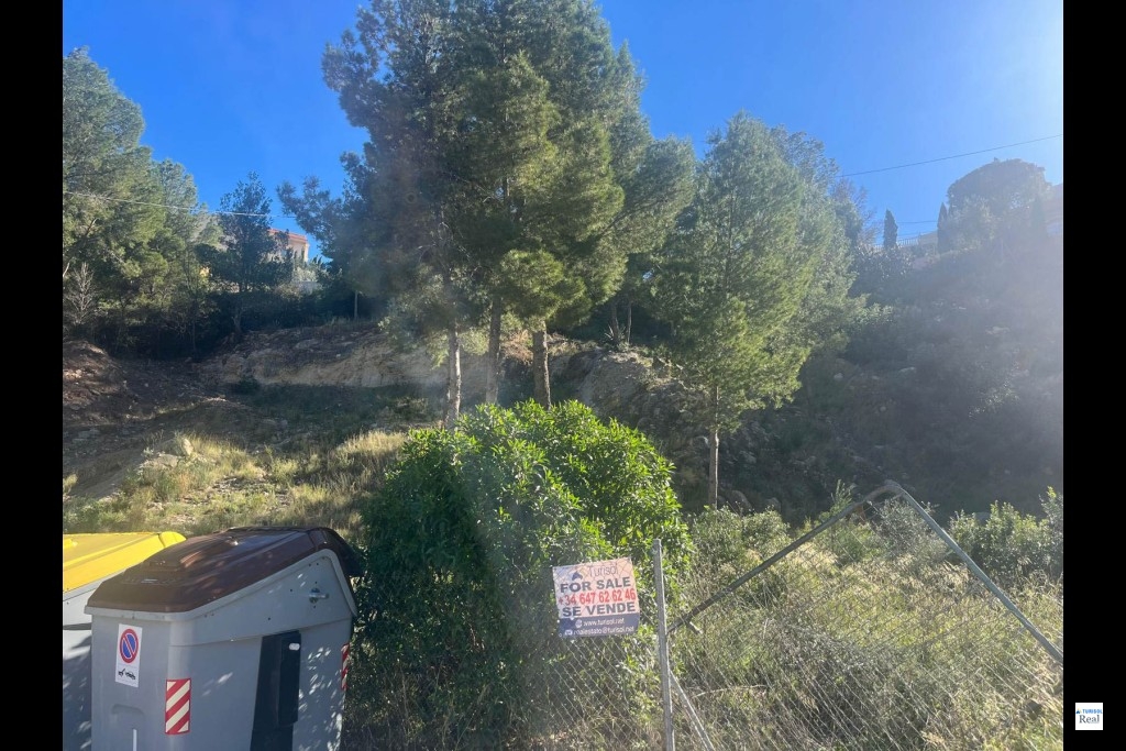 302_55 Realtor Turisol Real Estate